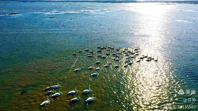 五湖四海四，五湖之洪译湖